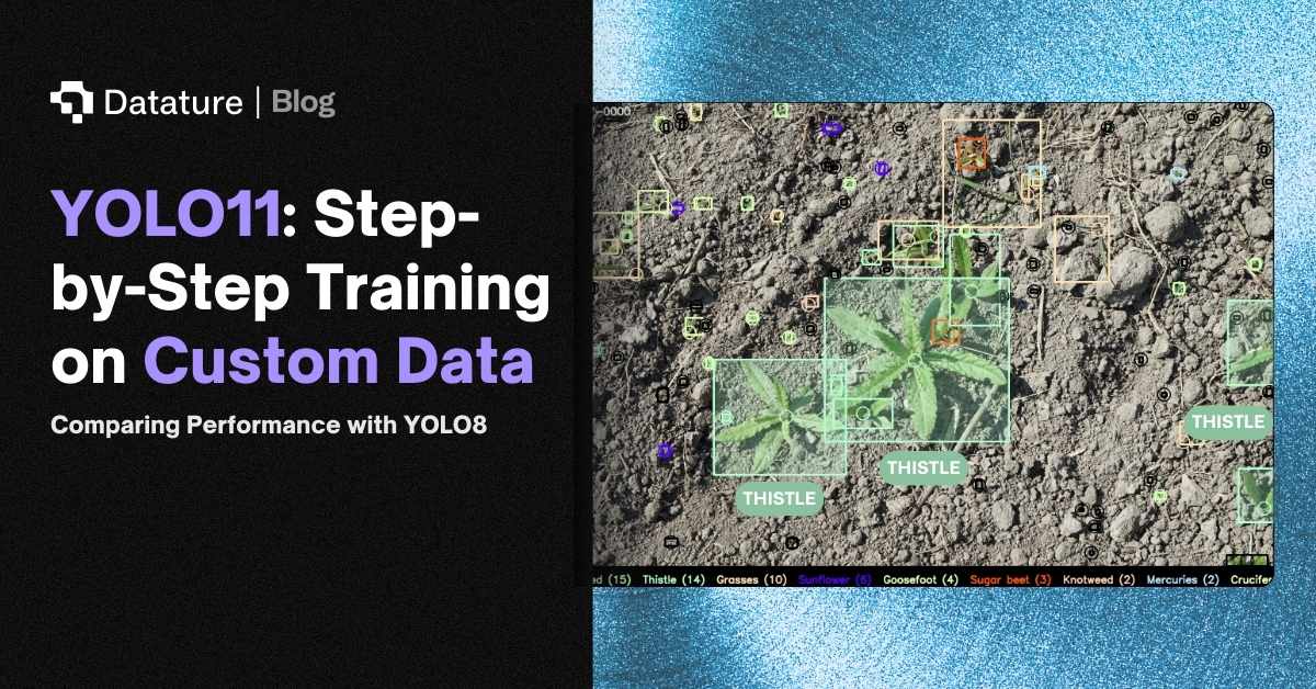 YOLO11: Step-by-Step Training on Custom Data and Comparison with